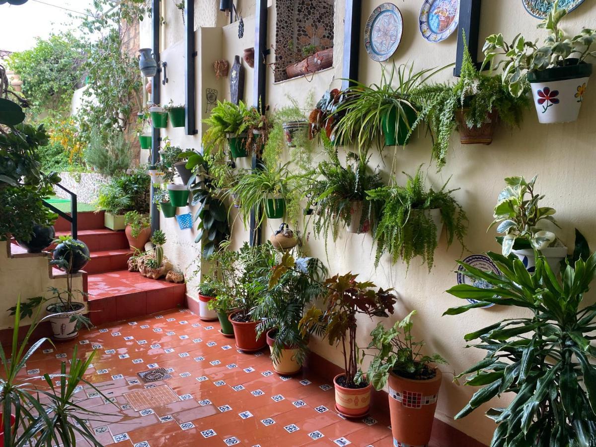 Casa Pepe Βίλα Hornachuelos Εξωτερικό φωτογραφία